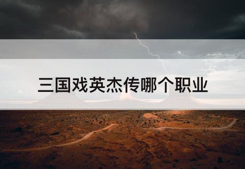 三国戏英杰传哪个职业
