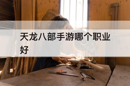 天龙八部手游哪个职业好