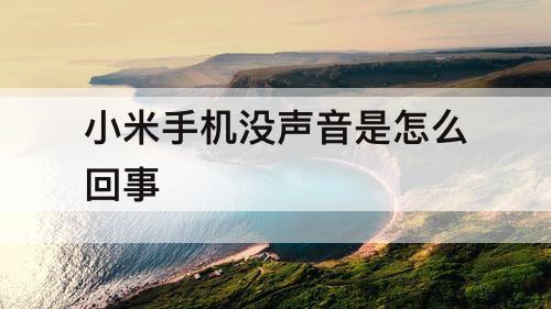 小米手机没声音是怎么回事