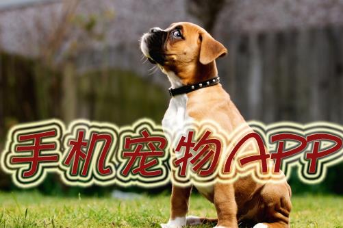 宠物生活app