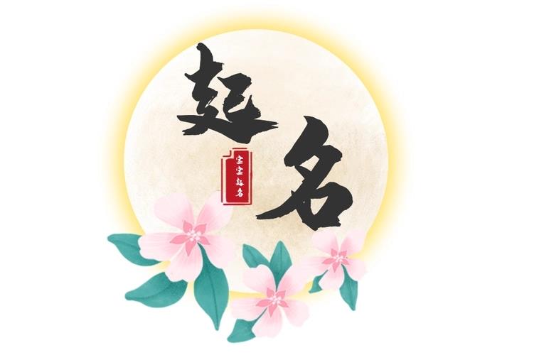 取名软件