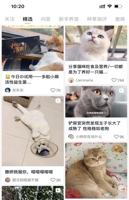 小萌猫截图