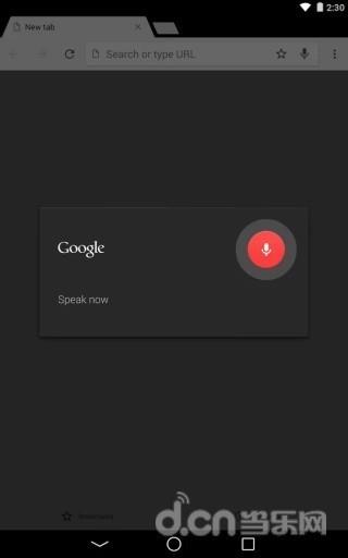 Chrome Dev截图