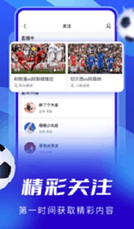 蓝鲸体育直播官网截图