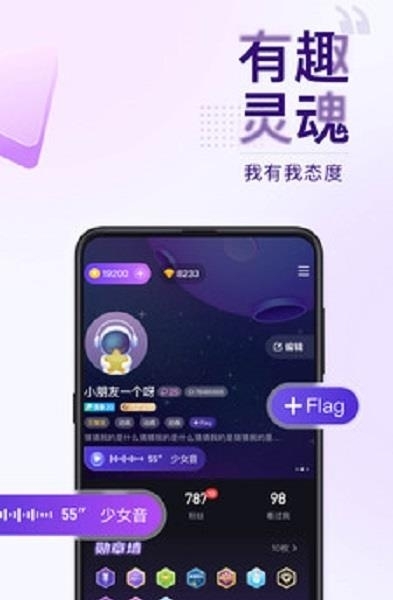 Flag语音截图