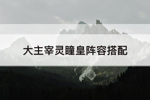 大主宰灵瞳皇阵容搭配