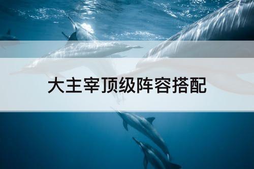 大主宰顶级阵容搭配