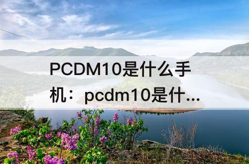 PCDM10是什么手机：pcdm10是什么手机多少钱