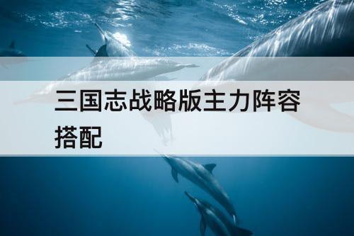 三国志战略版主力阵容搭配