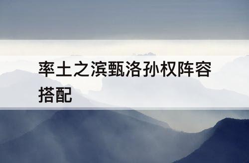 率土之滨甄洛孙权阵容搭配