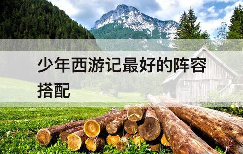 少年西游记最好的阵容搭配