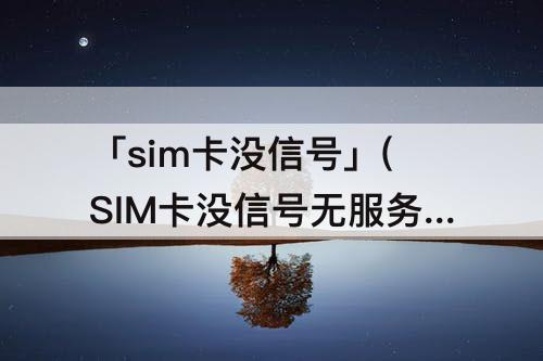 「sim卡没信号」(SIM卡没信号无服务)