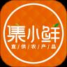 集小鲜