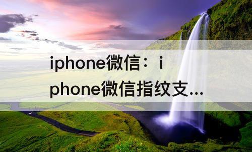 iphone微信：iphone微信指纹支付