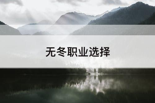 无冬职业选择