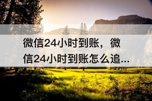 微信24小时到账，微信24小时到账怎么追回资金能冻结账户吗?