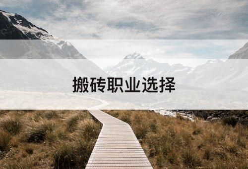 搬砖职业选择