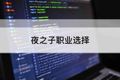 夜之子职业选择