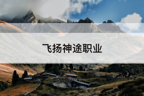 飞扬神途职业