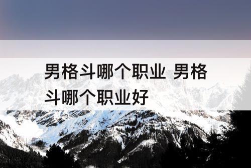 男格斗哪个职业 男格斗哪个职业好