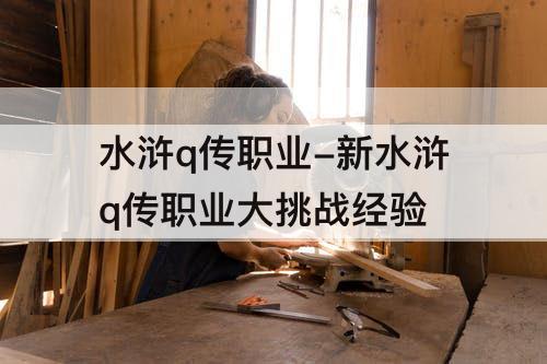 水浒q传职业-新水浒q传职业大挑战经验