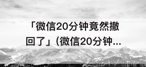 「微信20分钟竟然撤回了」(微信20分钟竟然撤回了文件)