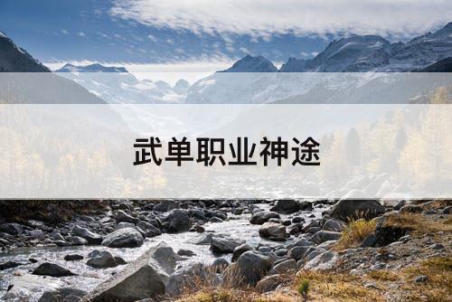 武单职业神途