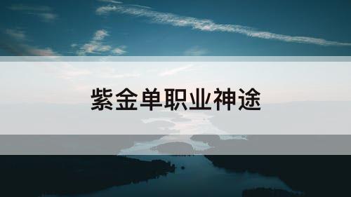 紫金单职业神途