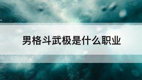 男格斗武极是什么职业