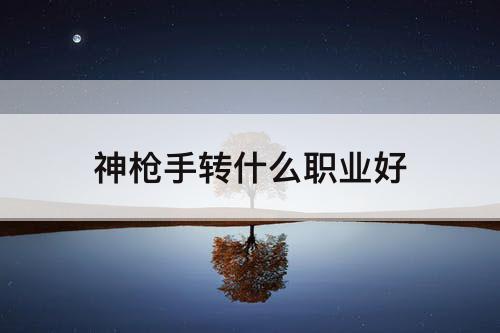 神枪手转什么职业好