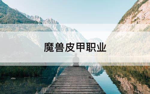 魔兽皮甲职业