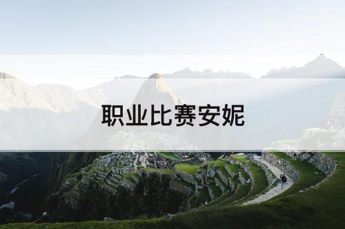 职业比赛安妮