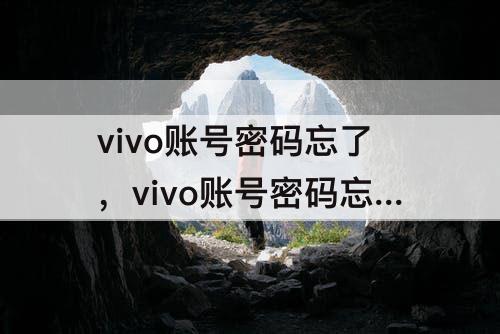 vivo账号密码忘了，vivo账号密码忘了怎么解除