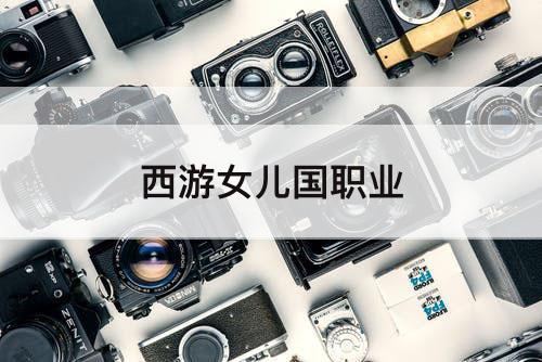 西游女儿国职业