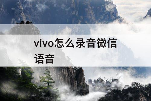 vivo怎么录音微信语音