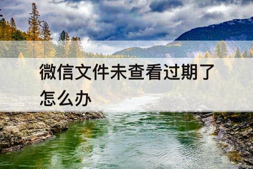 微信文件未查看过期了怎么办