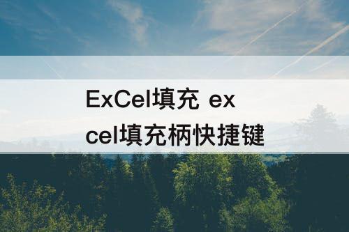 ExCel填充 excel填充柄快捷键