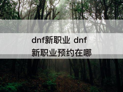 dnf新职业 dnf新职业预约在哪