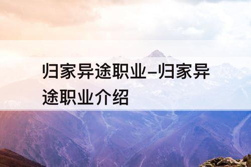 归家异途职业-归家异途职业介绍