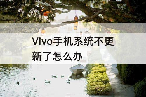Vivo手机系统不更新了怎么办