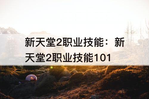 新天堂2职业技能：新天堂2职业技能101