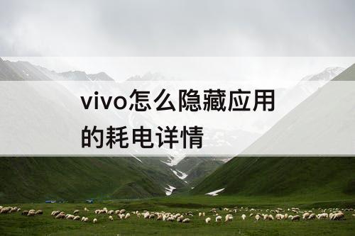 vivo怎么隐藏应用的耗电详情