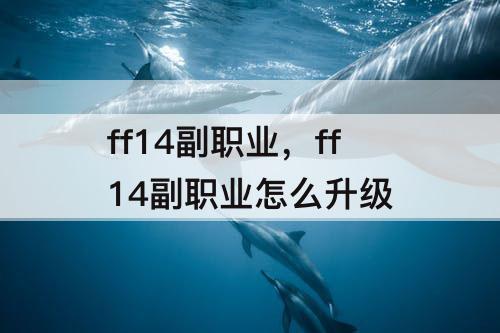 ff14副职业，ff14副职业怎么升级