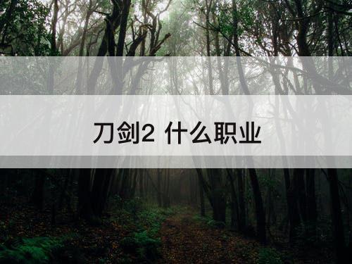 刀剑2 什么职业