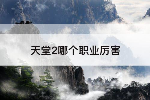 天堂2哪个职业厉害
