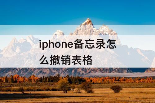 iphone备忘录怎么撤销表格