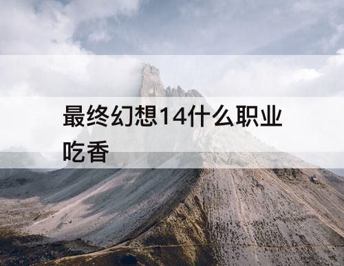 最终幻想14什么职业吃香