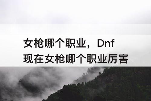 女枪哪个职业，Dnf现在女枪哪个职业厉害