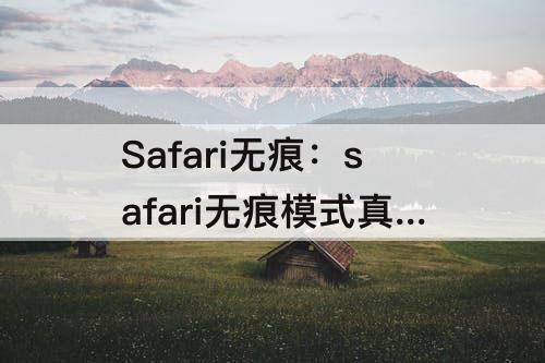 Safari无痕：safari无痕模式真的无痕吗