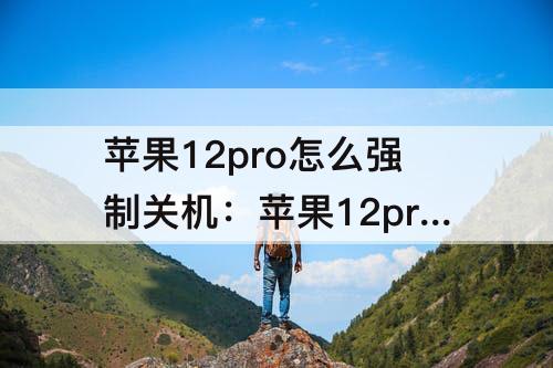 苹果12pro怎么强制关机：苹果12pro怎么强制关机视频